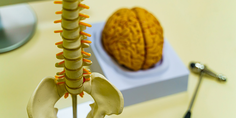 meningitis sintomas y tratamiento