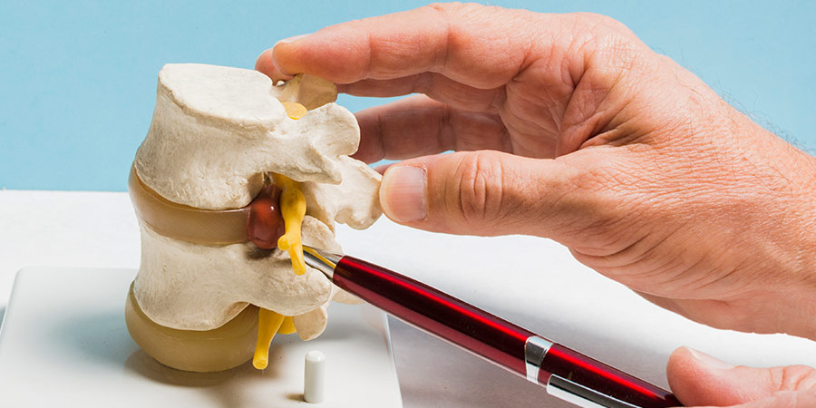 Partes-y-funciones-principales-de-la-columna-vertebral