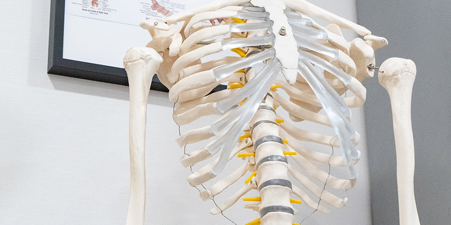 Qué es la rizólisis