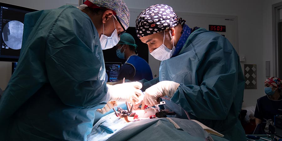 Tratamiento de tumor en la columna